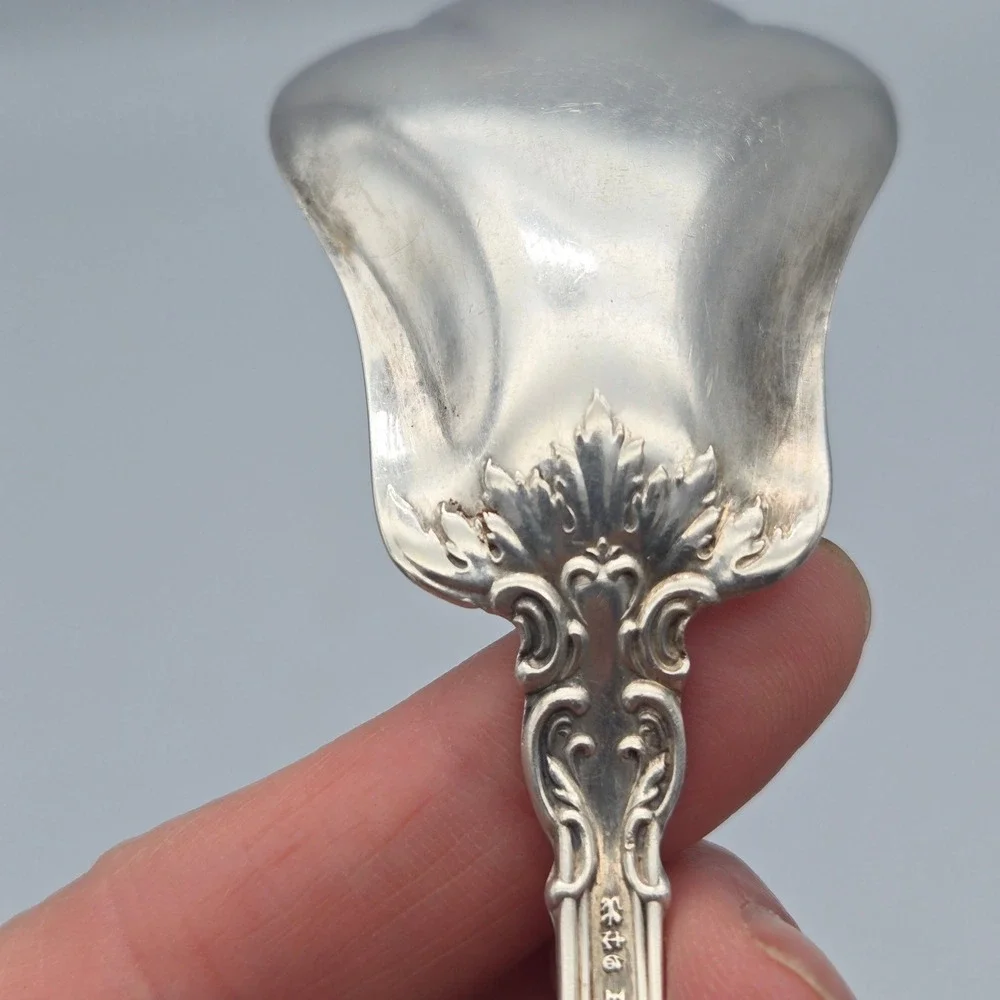 Vintage Pre 1950 Gorham Chantilly Sterling Silver Sugar Shell Spoon 31g No Mono